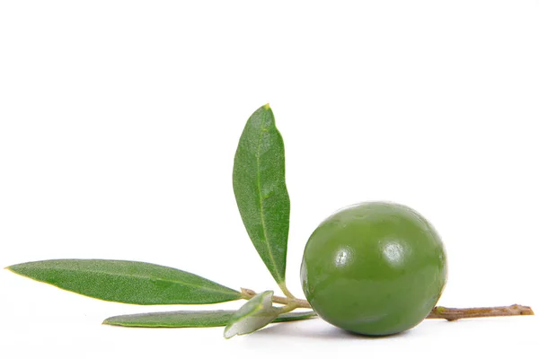 Isolierte Oliven auf weißem Hintergrund — Stockfoto