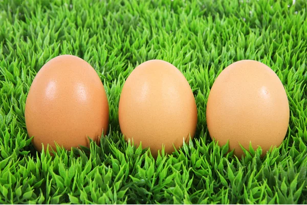 Isolated eggs in grass background — Stock Photo, Image