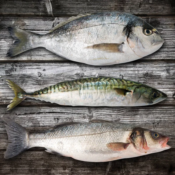 Fresh fish collage in wooden background — Stock Photo, Image