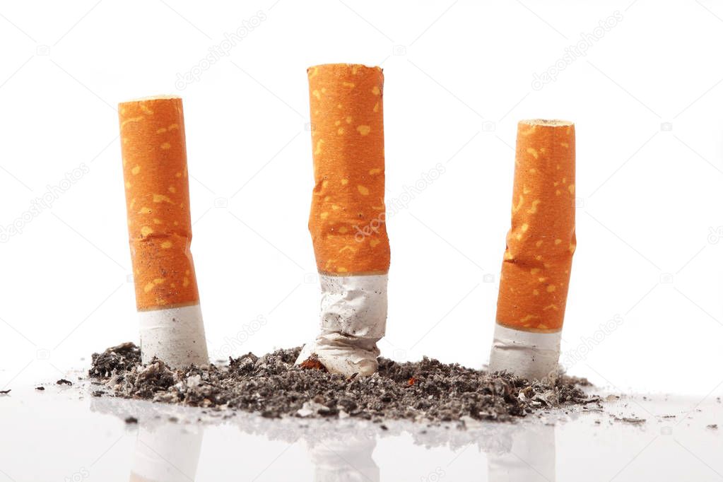 isolated cigarette in white background