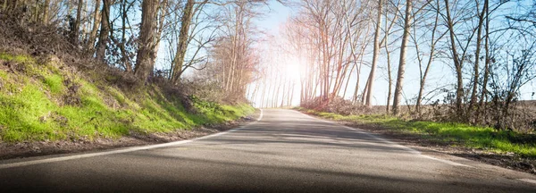 Country road in autumn — Stock Photo, Image