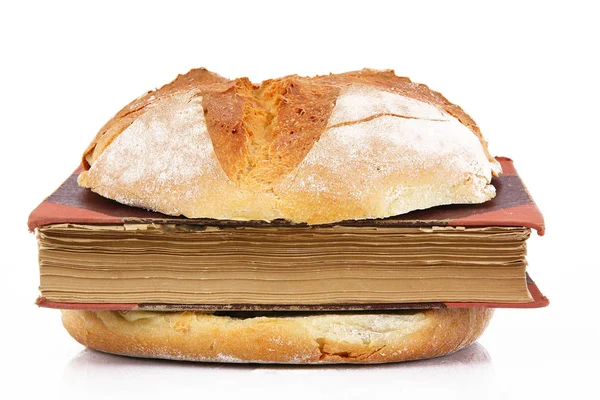 Sandwich mit Buch auf weißem Hintergrund — Stockfoto