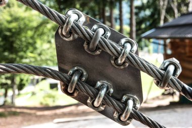 ormandaki ağaçlar tırmanma için donatım