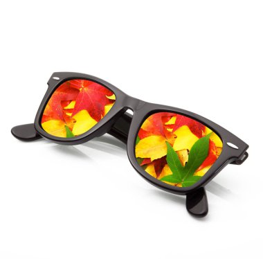 Beyaz arka planda sonbahar güneş gözlüğü izole