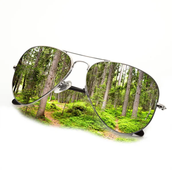 Ізольовані лісові сонцезахисні окуляри на білому фоні — стокове фото