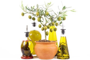 Beyaz arka planda zeytin tesisi