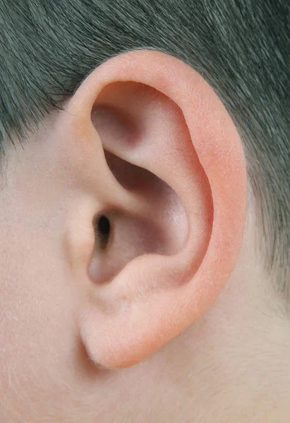 Gros plan de l'oreille humaine — Photo