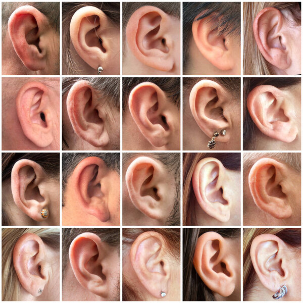 images of human ears collage