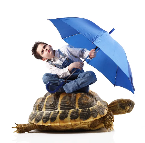 Boy with umbrella sitting on a turtle — Stock Photo, Image