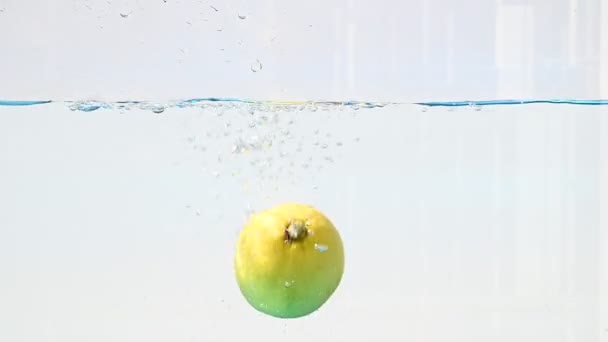 掉到水里的柠檬 — 图库视频影像