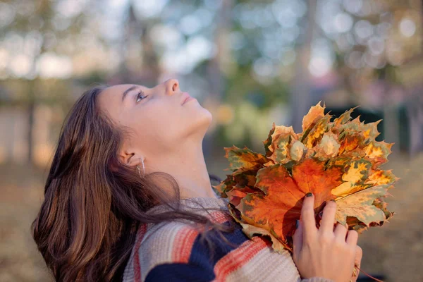 Красива дівчина сидить на лавці восени. У дівчинці тримають осіннє листя. дівчина сидить на лавці в осінньому парку . — стокове фото