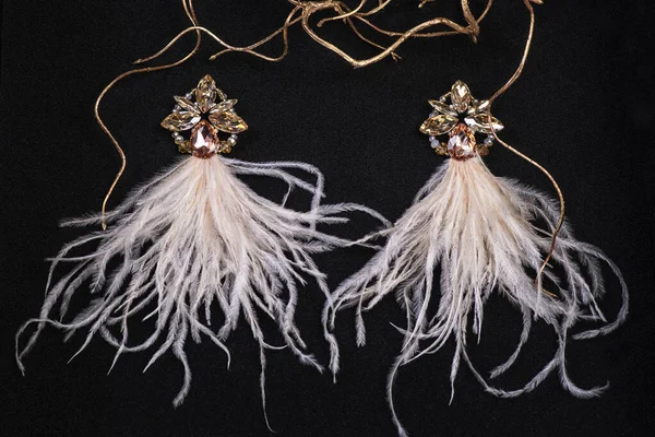 Bijoux pour femmes. Des bijoux. Contexte pour les salons. Bijoux sur fond foncé.Boucles d'oreilles en plumes — Photo