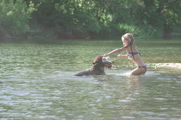 Niña jugando en el río con un perro en un día soleado de verano.El concepto de jugar con un perro en la naturaleza y pasear por la playa con mascotas —  Fotos de Stock