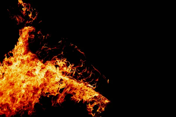 Fire on a dark background. Background from fire. Fire close up. Background for designers.Wood fire on black background