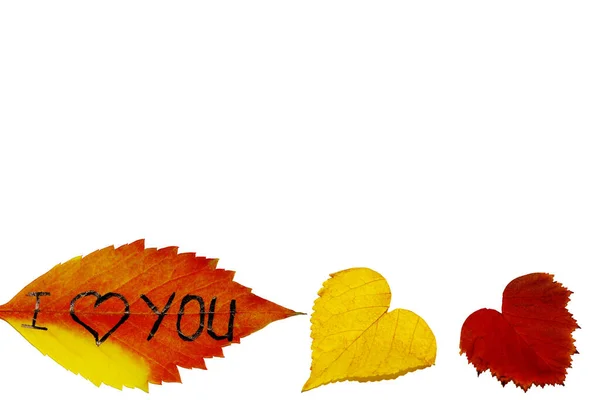 Herbstkonzept aus bunten Blättern auf weißem Hintergrund. Hintergrund aus Herbstblättern mit der Aufschrift i love you. — Stockfoto