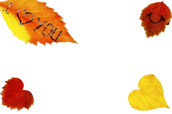 Herbstkonzept aus bunten Blättern auf weißem Hintergrund. Hintergrund aus Herbstblättern mit der Aufschrift i love you. — Stockfoto