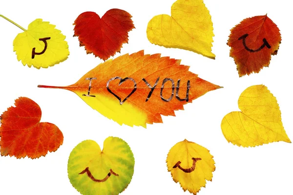 Herbstkonzept aus bunten Blättern auf weißem Hintergrund. Hintergrund aus Herbstblättern mit der Aufschrift i love you. — Stockfoto