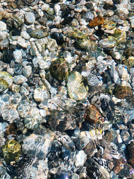 Multi-colored river stones. Background of colored sea stones close-up.