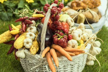Çiftçilerin elinde mevsimlik ürünlerle dolu bir sepet, güz ürünleriyle dolu ahşap sepet, tarım ve orman da var..
