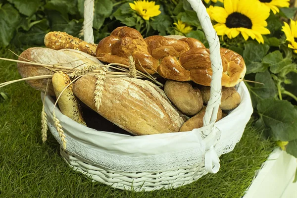 Bauern halten einen Korb mit saisonalen Produkten in der Hand, Holzkorb voll mit herbstlichen Produkten, auch land- und forstwirtschaftliche Produkte. — Stockfoto