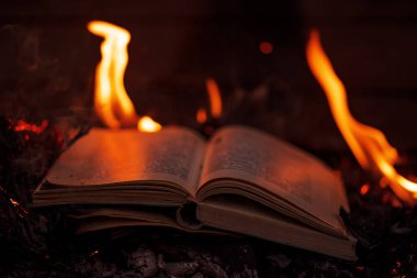 Kitap yakmaktan. Sayfalarca kitap yakmaktan. Kitaplar yanıyor. Yanan düşünceler, haberler. Ateşin kırmızı alevindeki kitaplar.
