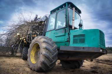 Büyük yeşil traktör kesilmiş ağaç ve ahşap, sahada yer