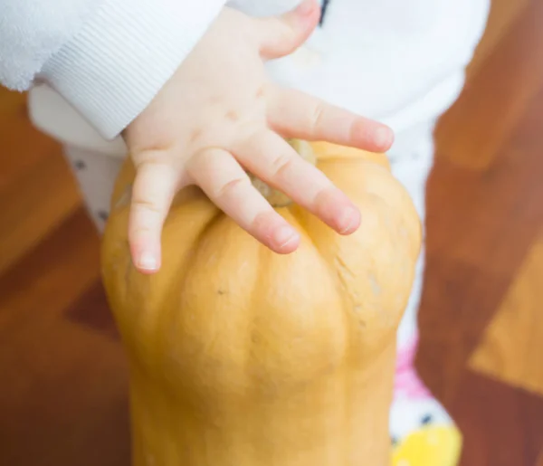 큰 호박을 슬라이스 하 여 할로윈에 요리 준비 — 스톡 사진