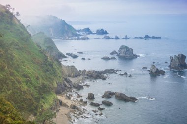 Muhteşem manzara okyanus, uçurumlar, plaj, Yeşiller ve çiçekler ile 