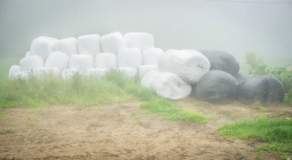 Bales of hay wrapped in white and black plastic membrane type packets in rainy and foggy summer day
