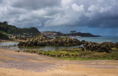Muhteşem manzara okyanus, uçurumlar, plaj, Yeşiller ve çiçekler ile 