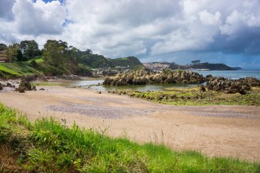 Muhteşem manzara okyanus, uçurumlar, plaj, Yeşiller ve çiçekler ile 