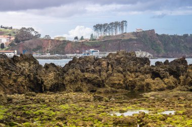 Muhteşem manzara okyanus, uçurumlar, plaj, Yeşiller ve çiçekler ile 