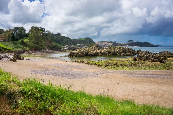 Muhteşem manzara okyanus, uçurumlar, plaj, Yeşiller ve çiçekler ile 