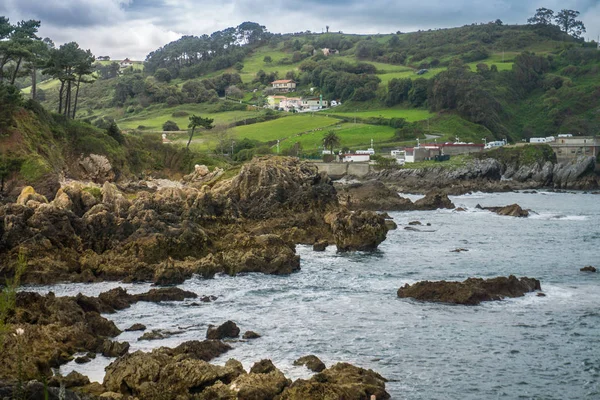 Muhteşem manzara okyanus, uçurumlar, plaj, Yeşiller ve çiçekler ile 