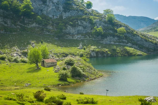 Beautiful nature of Spain: Covadonga mountain lakes in summer su — Stock Photo, Image