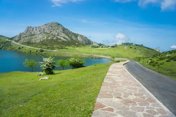 Beautiful nature of Spain: Covadonga mountain lakes in summer su — Stock Photo, Image