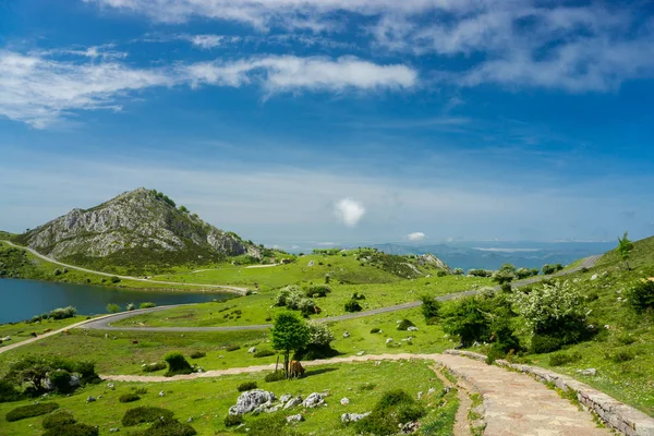 İspanya'nın güzel doğa: Covadonga dağ gölleri yaz SÜ