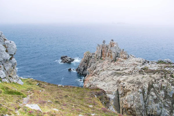 Brittany sis ile yaz aylarında kayalıklarla