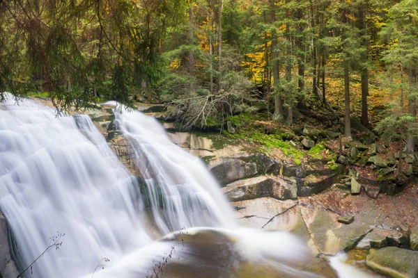 Krásná podzimní les s jinou barvou stromy a světlé le — Stock fotografie