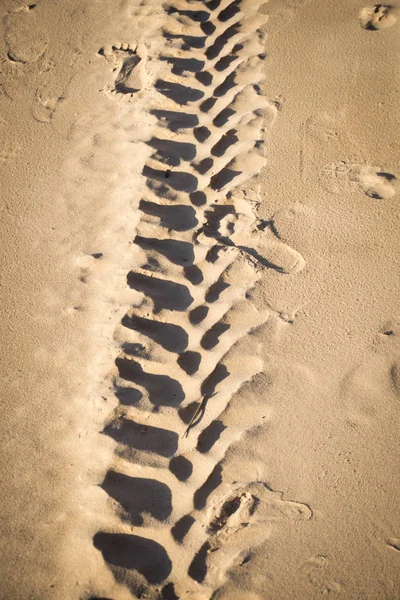 Yazın Baltık Denizi Sahilinde Kumdaki Bir Tekerleğin Izleri Yaz Neredeyse — Stok fotoğraf
