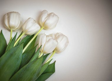 Çerçevelerdeki farklı renkteki güzel laleler, bahar tatillerinde iç kompozisyonda veya iç kısımlarda makara yapın.