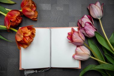 Çerçevelerdeki farklı renkteki güzel laleler, bahar tatillerinde iç kompozisyonda veya iç kısımlarda makara yapın.