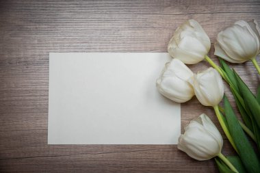 Çerçevelerdeki farklı renkteki güzel laleler, bahar tatillerinde iç kompozisyonda veya iç kısımlarda makara yapın.