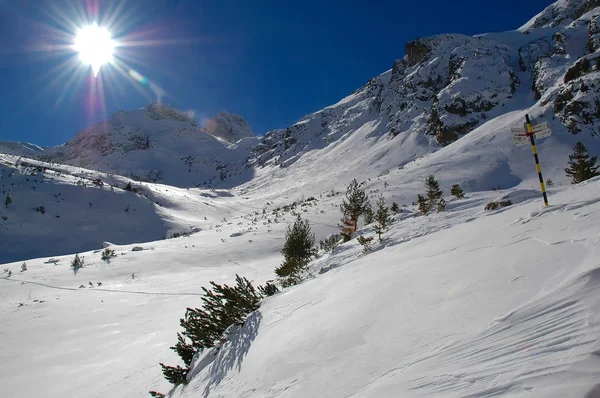 Soleado invierno en la montaña —  Fotos de Stock