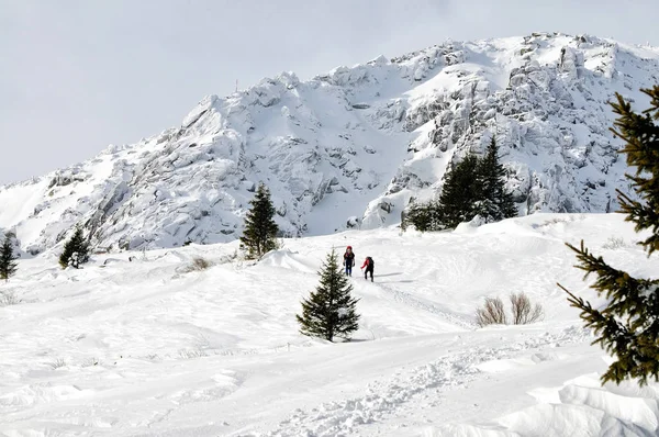 Zwei Männer wandern im Hochgebirge — Stockfoto