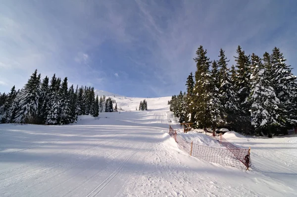 Strefa narciarskich Vitosha, Bułgaria Zdjęcie Stockowe