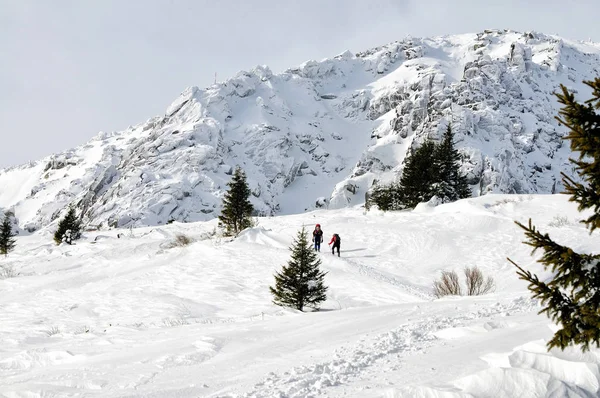 İki adam yüksek dağlarda hiking