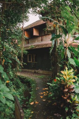 ormanda, yemyeşil tropik bitki örtüsü güzel kırsal ev 