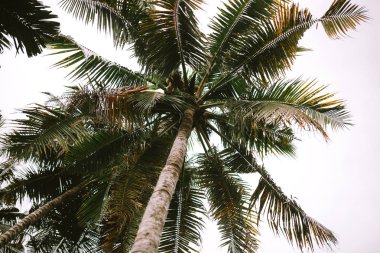 avuç içi ve gökyüzü görünümü