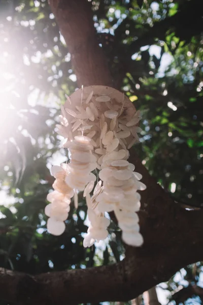wind chimes made of shells